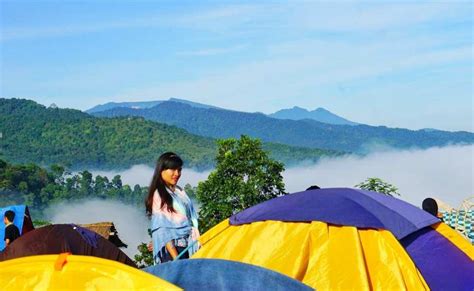 Tempat Camping Terpopuler Di Subang Cocok Untuk Refreshing