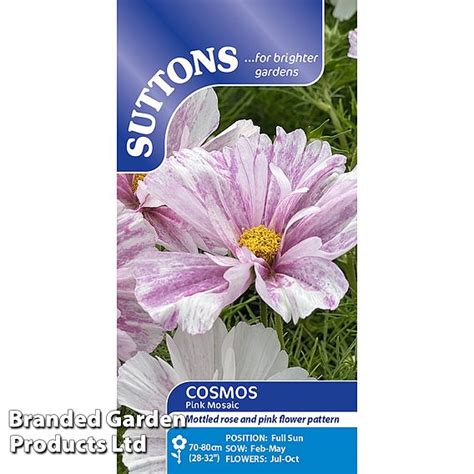 Cosmos 'Pink Mosaic' - Seeds | Suttons