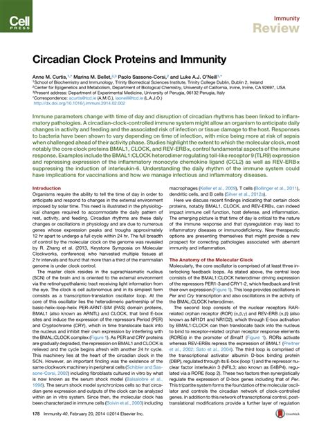 (PDF) Circadian Clock Proteins and Immunity