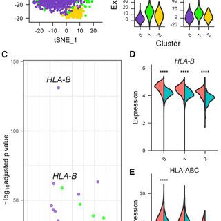 Single Cell CITE Seq Data Show Significant Differences In NK Cell