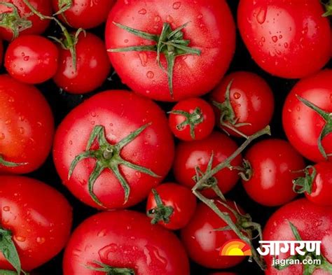 Tomato Price Hike टमाटर ने छुड़ाए लोगों के पसीने दो महीने बाद भी क्