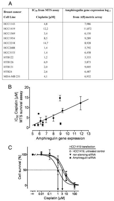 Epidermal Growth Factor Receptor Pathway Analysis Identifies