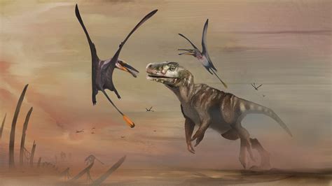 New fossils bring the wide world of pterosaurs to life