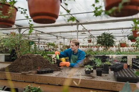 Les meilleures méthodes de jardinage écologique pour un environnement