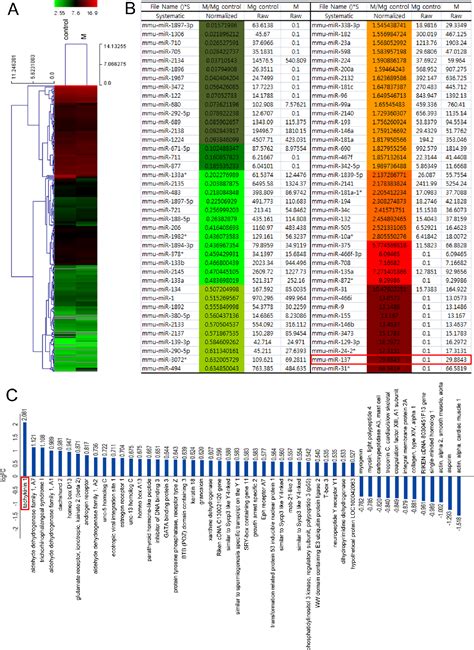 Figure From A Contrasting Function For Mir In Embryonic