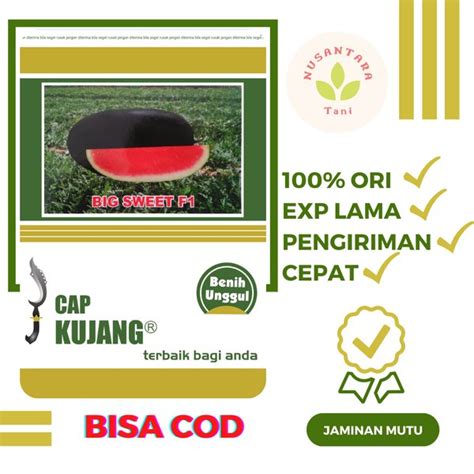 Jual Benih Semangka Inul Merah Big Sweet F Biji Di Lapak Nusantara