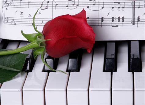 69 Piano Love Songs That They Will Enjoy (2024) | Piano Area