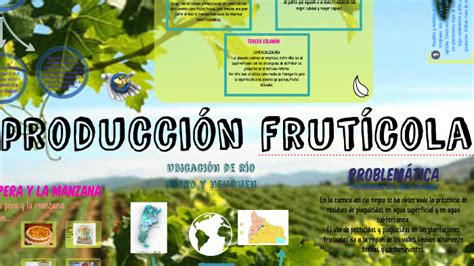 Circuito Productivo Frut Cola Del Alto Valle By Flor Villalba On Prezi