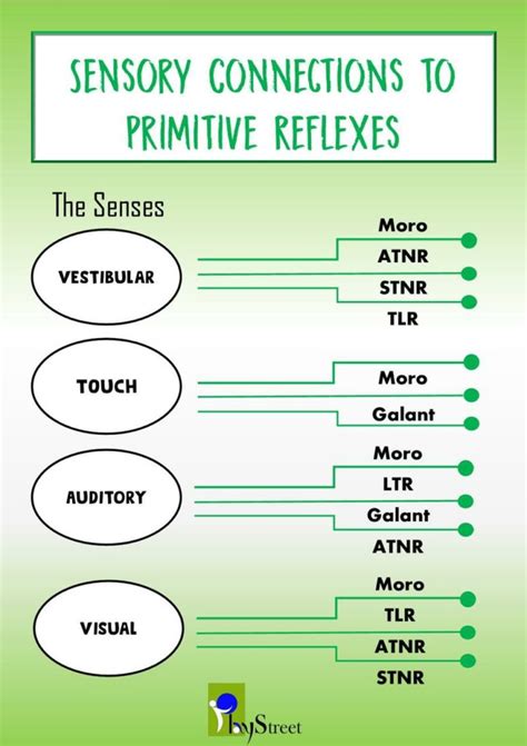 Retained Primitive Reflexes Playstreet