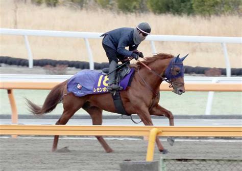 【フェブラリーs】レモンポップは充実一途 田中博師「順調に回復した」 サンスポzbat