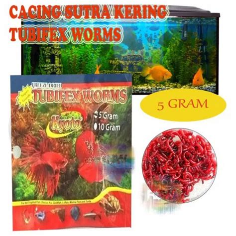 MAKANAN IKAN CACING KERING 5 Gr Lazada Indonesia