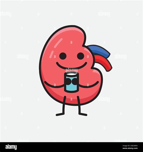 Vector Illustration Of Kidney Character With Cute Face And Simple Body