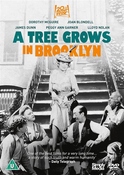 A Tree Grows In Brooklyn Dvd Amazon De Dorothy Mcguire Joan