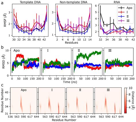 Analysis Of The Dynamics And Interactions Of Upstream Nucleic Acids