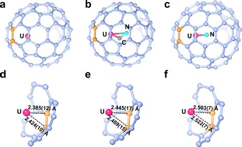 Structures And Distances Between U And The Fullerene Cage A D