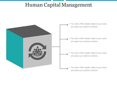 Human Capital Management Ppt Slide Show Graphics Presentation Background For Powerpoint