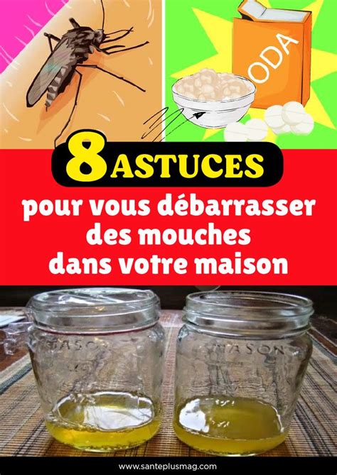 8 astuces pour vous débarrasser des mouches dans votre maison Astuces