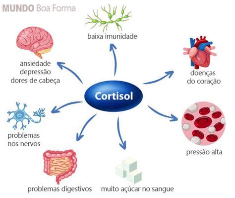 Cortisol Alto Ou Baixo Causas Sintomas E Exames Mundoboaforma