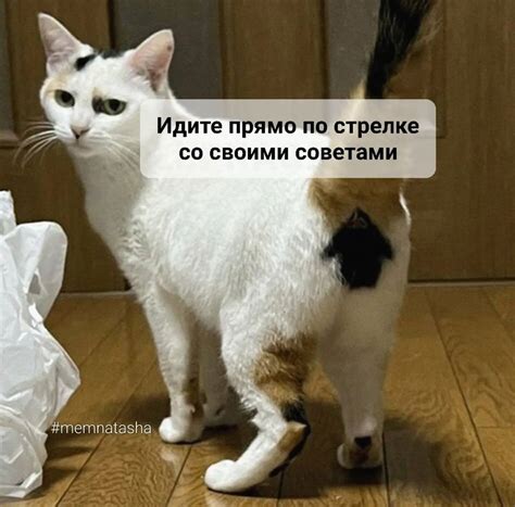 ГыГы Приколы - выпуск №1204704
