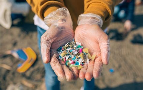 Possible Dangers Of Microplastics Morning Sign Out At Uci