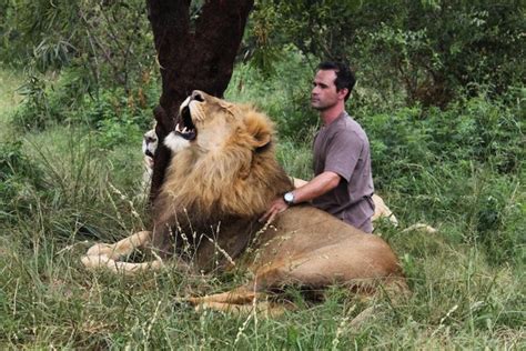 Meet Kevin Richardson: The Lion Whisperer