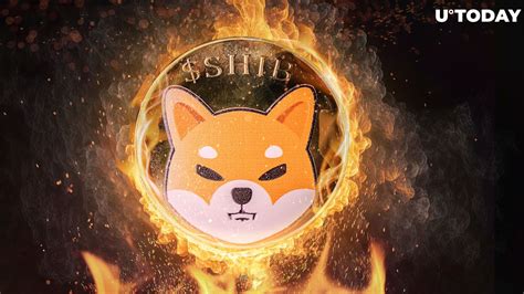 Shiba Inu SHIB Burn Rate Jumps 543 In Defiance Of SHIB Price Drop