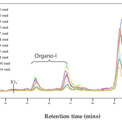 Ic Icp Ms Chromatogram Of Iodine Species In Snow Iodate Less Than 03 Download Scientific