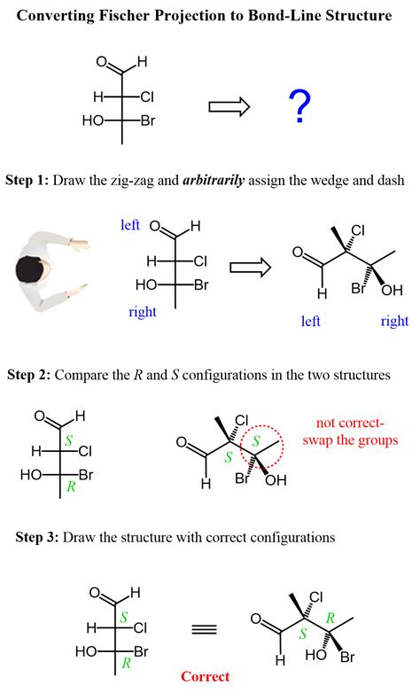 Fisher Projections Translations To Line Diagrams Fisher