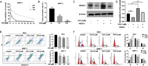 Chidamide Inhibits Proliferation And Induces Cell Apoptosis And G0 G1