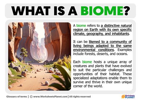 What Is A Biome Definition Of Biome