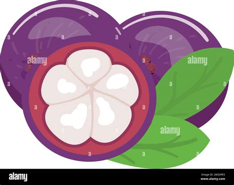 Alimento icono de mangostán vector de dibujos animados Fruta de verano