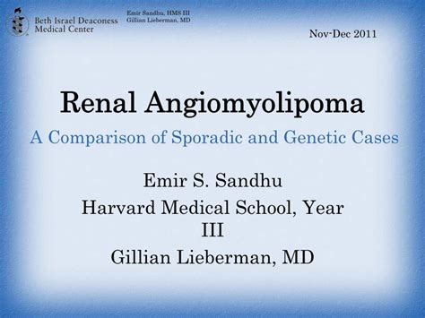 Pdf Renal Angiomyolipoma Lieberman S Eradiologyeradiology Bidmc