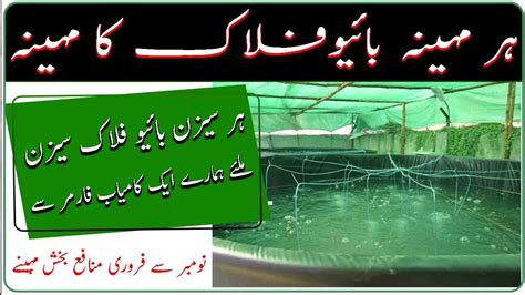 Biofloc Fish Farming Business In Pakistan Smart Biofloc Technologies