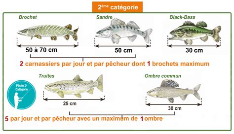 Réglementation Pêche 2023