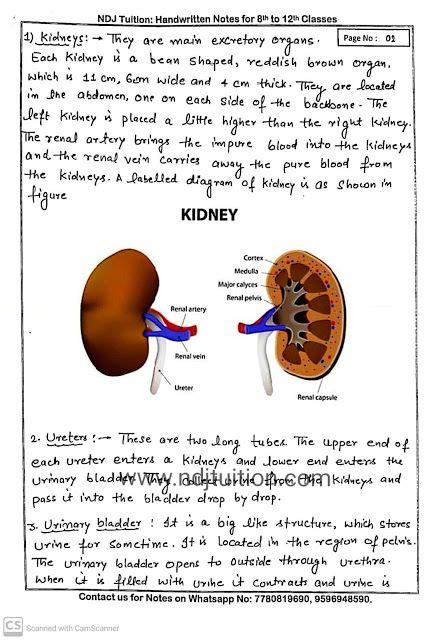 Life Processes Handwritten Notes For Class 10th Biology Lessons