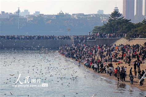 山东青岛：栈桥海滨人气爆棚韩波景象海鸥