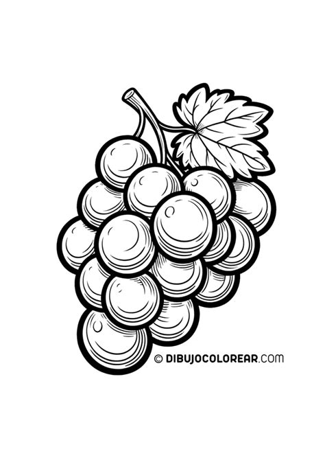 10 Dibujos De Frutas Para Colorear E Imprimir Dibujo Colorear