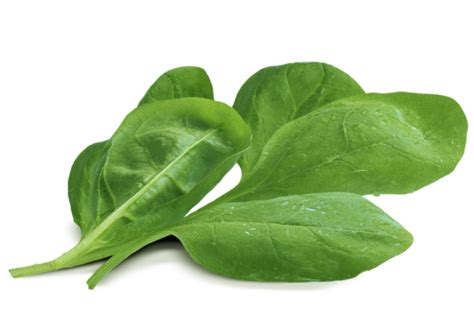 Spinach Png Images Transparent Background Png Play