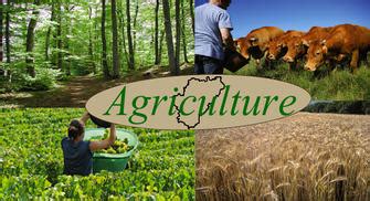 Agriculture Agriculture For T Et Pr Servation Des Enaf Actions De