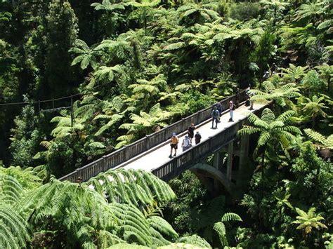 Over Looking The Iconicbridge To Nowhere