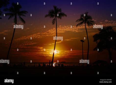 Sunset silhouette landscape background with palms trees and people at ...