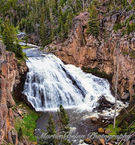 Yellowstone Landscapes Gibbon Falls Yellowstone National Park