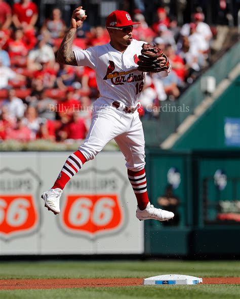 Gold Glove Nominees. 2019 St. Louis Cardinal Gold Nominees… | by Taka Yanagimoto | Cardinals Insider