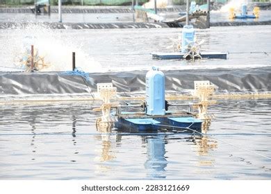 3,596 Aquaculture_shrimp_pond Images, Stock Photos & Vectors | Shutterstock