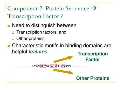 PPT Inferring Prototypical Transcriptional Regulatory Network From