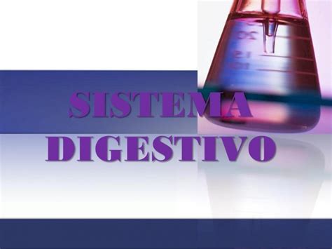 Pdf Sistema Digestivo El Aparato Digestivo Es Un