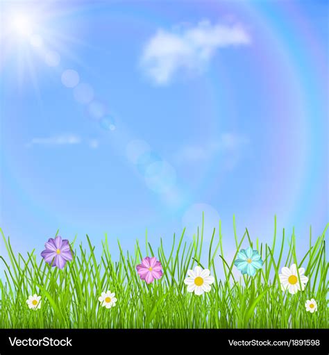 Background With Sky Sun Grass And Flowers Vector Image