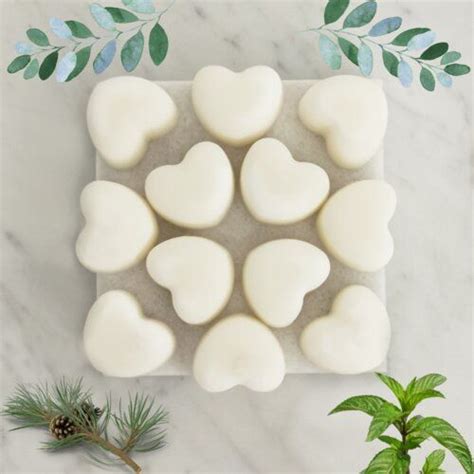 Symple Stuff Revive Peppermint Eucalyptus Pine Scented Wax Melts