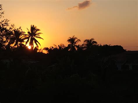 Sunset On The Savannah Rbelize