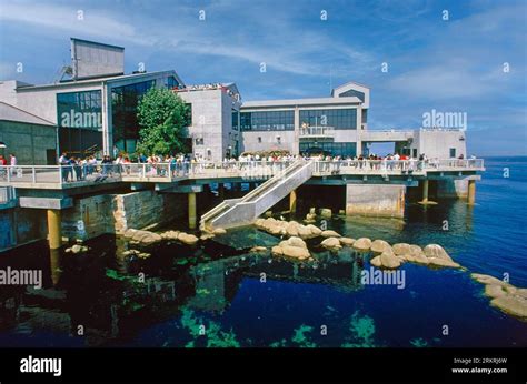 Monterey Aquarium, Monterey, California, USA Stock Photo - Alamy